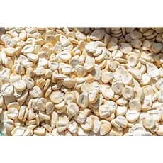 MILHO GIGANTE 1 KILO MAIZ CANCHA BLANCO SEMENTE Y COZHINAR