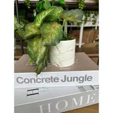 Vaso para Decoração com Flor Artificial (Vários Modelos)