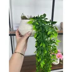 Folhagem Artificial Pendente Folhinha 60cm Vaso Branco Redondo