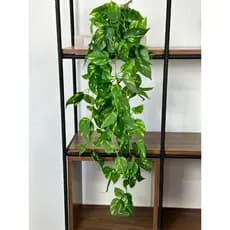 Planta Artificial Pendente com Vaso Completa e Montada Folhagem Artificial Pendente Decoração Sala, Prateleiras, Nichos