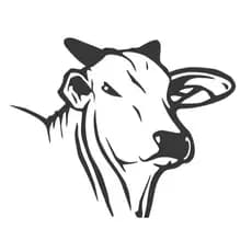 Adesivo Premium Carro Gado Nelore Agro Fazendeiro