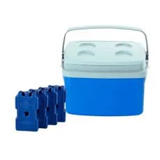 Caixa Térmica 5 Litros Cooler 4 Placas Gelo Reutilizável 200 ml Transporte Vacinas medicamentos bebidas alimentos sucos