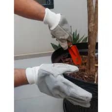 Luva Jardinagem com Raspa Mista com Pano Reforçada com Punho Elástico  com CA