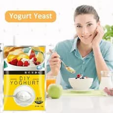 10g Iogurte Fermento Starter Culturas Puro Natural Probiótico Caseiro Lactobacillus Fermentação Em Pó Fabricante Cozinha