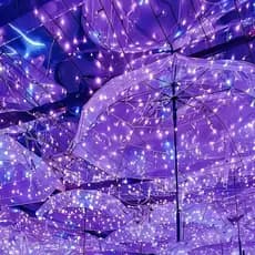 Fio De Fada 5 M Sem PILHA Com Luzes Led Fada Para Decoração De Casa e Natal Festa Casamento Roxo - TS802243 LILÁS