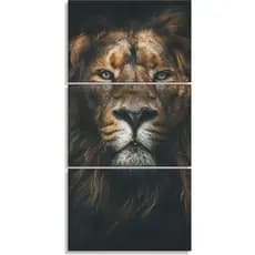 Quadros Decorativos Leão De Juda Sala Quarto Cozinha 3 peças
