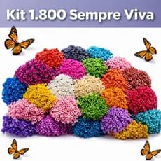 Florzinhas Sempre Viva Elegante Seca , kit com 900/600/300/150 Flores Maravilhosas