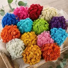 Flores Sempre Vivas  Luxo Elegante , kit com 200/400/800/1200 Flores Belas Naturais Premium