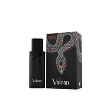 Vulcan Black Friday Eau de Parfum 100ml Masculino French Avenue