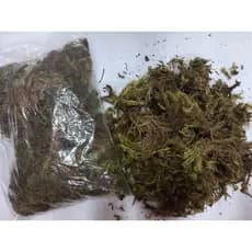 Musgo Verde Artificial Planta Para Arranjos Artificiais ou naturais 50g ideal para complementar Arranjos