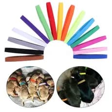 Coleiras De Identificação De Nascimento Para Cachorro De Estimação , Fita Carga Bagagem , Corda , Colar De Gato , Cinto