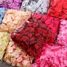 Flor simulada 1000pcs casamento de pétalas de rosa