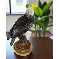 Gavião Grande Decorativo em Gesso – Espanta Pombos e Decoração Realista