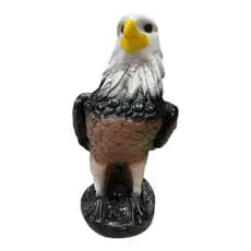 Gavião espanta pombo e passarinhos marrom