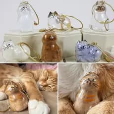 Caixa De Armazenamento De Cabelo De Gato Transparente Pendurado Gaunt Cápsula Pingente Chaveiro