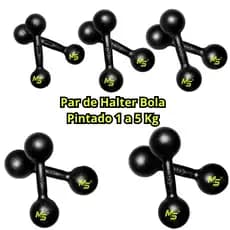 Par Halter Bola Pintado Premium - 1 a 5 Kg / Treino Musculação Peso de Academia C/ 2 Un