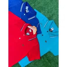 Kit 3 Camiseta Gola Polo Infantil 100% Algodão tamanho Infantil Ao Juvenil 1 a 14 anos Basica Para Menino