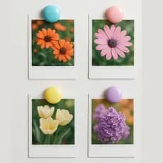 Imã de Geladeira Redondo Magnetico para Fotos E Mural Tons Pastel  Decorativo  Botton Pendurar 3cm