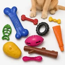 Brinquedo Mordedor Para Cães Ossinho Osso Maciço Bolinha Maciça Cachorro Pet Aleatório Borracha