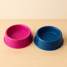 Kit Comedouro Tigela Pet para Gato e Cachorro