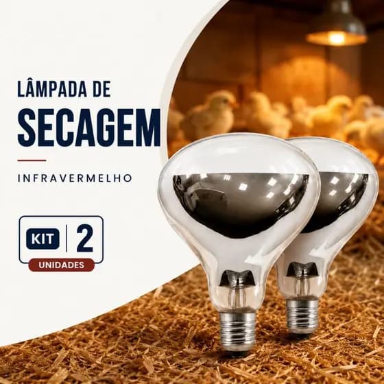 Kit 2 Lâmpada Secagem 110v 220v Infravermelho Incandescente Aquecimento Alimento Pintinho Chocadeira