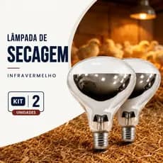 Kit 2 Lâmpada Secagem 110v 220v Infravermelho Incandescente Aquecimento Alimento Pintinho Chocadeira