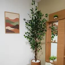 Figueira Artificial Fícus Grande Árvore Decoração 130cm a 190cm Sem Vaso