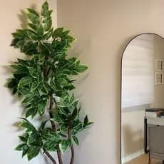 Croton Artificial Brasileirinho 130cm a 190cm Sem Vaso Decoração
