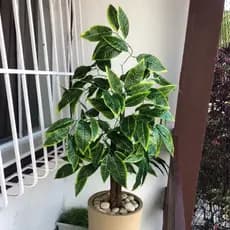 Planta Artificial Croton Muda Brasileirinho Vaso Decorativo Verde e Amarelo Decoração