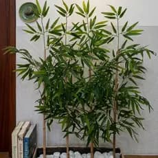 Kit Haste Bambu Artificial 3 Peças Galho Natural Para Decoração