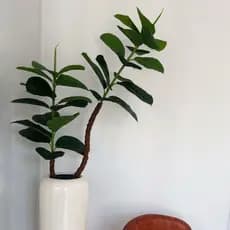 Árvore Ficus Lyrata Artificial Para Decoração 110cm a 180cm Sem Vaso