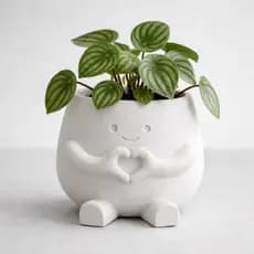 Vaso Decorativo com Mãos em Coração Cachepot para Plantas Pequenas e Suculentas