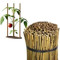 Kit 5 Peças de 1 Metro - Estacas de Bambu Natural para Horta e Jardinagem - Tratadas e Resistentes