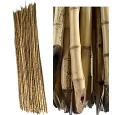Estaca de Bambu Natural 1 Metro – Escolha a Quantidade 🌿
