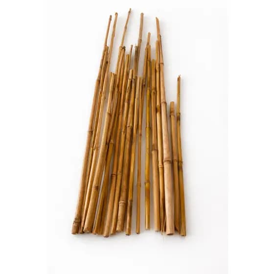 Estacas de Bambu Natural Variadas (20cm a 1m) - Kit Sustentável para Artesanato e Jardim