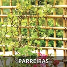 Tutor Estaca de Bambu para Parreiras Hortaliças Jardins Kit 10 unidades 1mx2cm diâmetro