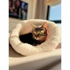 Caminha Toca Para Gatos Sherpa Pelucia Saco De Dormir Grande 50x45cm Cama Pet de Pelucia Quentinha Menor Preço