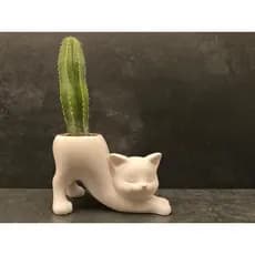 🐱🌵 Vaso para Cactos e Suculentas em Formato de Gato Espreguiçando – Decoração Fofa e Moderna!