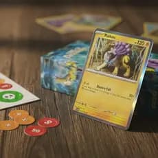 Deck Pokémon TCG Raikou Pronto para Jogar + Arena e Contadores (60 Cartas)