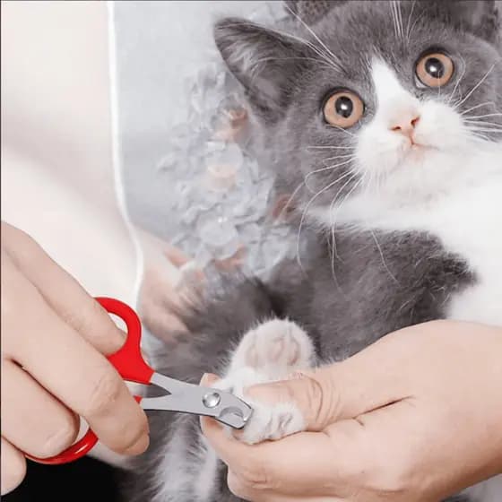 Cortador de Unhas para Cães e Gatos 10cm Tesoura de Unha para Pets Tesoura de Unha para Gato e Cachorros