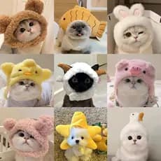 Chapéu para animais de estimação decoração chapelaria pelúcia Cross-Dressing filhote de cachorro gato Bichon bonito foto