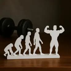 Escultura Evolução da Musculação – Decoração Fitness 16×10 cm