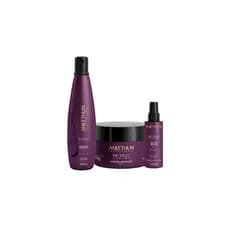 Kit Aneethun No Frizz System Completo - Shampoo 300ml + Máscara 250g + Leave-in 120ml