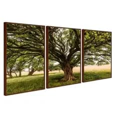 Quadro Decorativo Árvore Paisagem Galhos