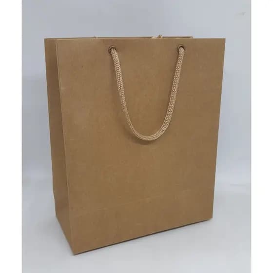 Sacola Presente Média reforçada - Kraft ou Branca - 21,5 cm x 18 cm x 8,5 - Kit com 50 unidades