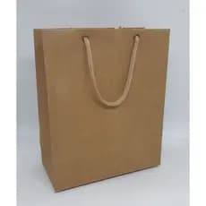 Sacola Presente Média reforçada - Kraft ou Branca - 21,5 cm x 18 cm x 8,5 - Kit com 50 unidades