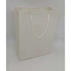 Sacolas Presente , Brindes em Papel Bege Reciclato  ou kraft = 17 x 23 x 7 - kit com 50 unidades