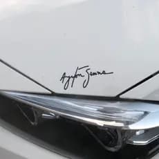 Assinatura Ayrton Senna em Adesivo