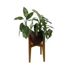 Suporte Cachepot P/ Vasos De Plantas - Grande - Duas Posições