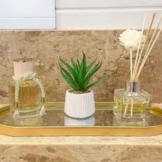 Kit Aromatico com Perfume de ambiente e Difusor Com Planta Luxuoso